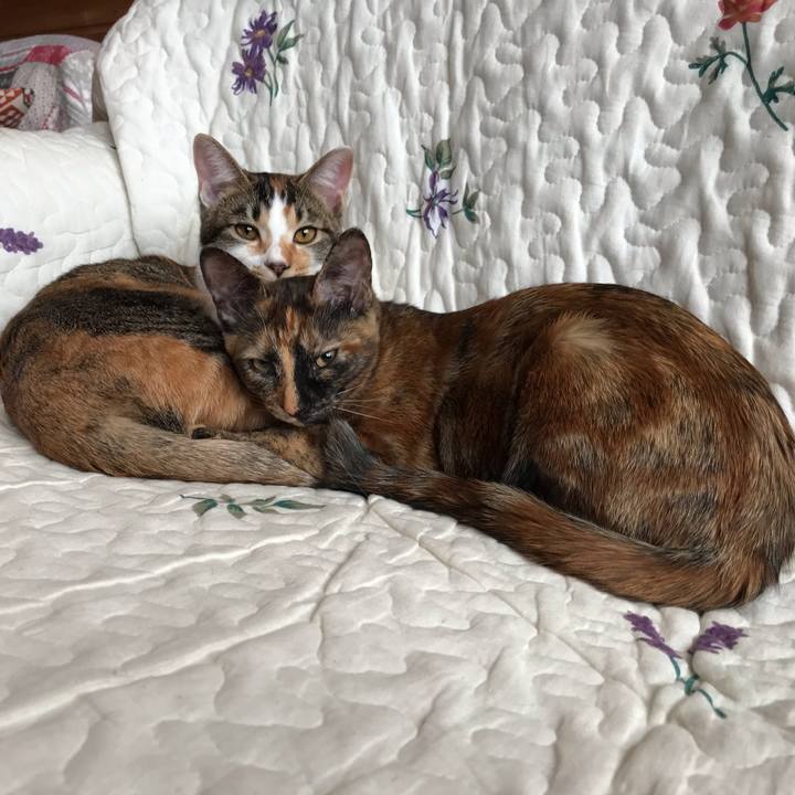 Ad2aec12 2262 461c 83da 4b9ab4da5241 1609375221745