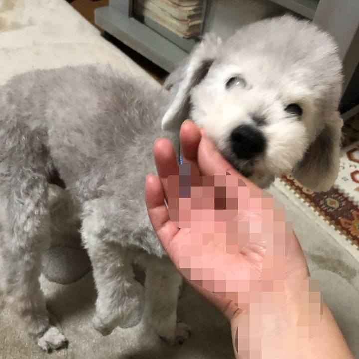 Ad2afef0 99a3 46fa 97c9 d245fc436f35 1651995696328