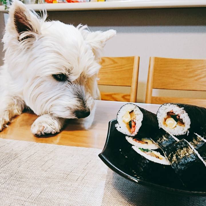 Ad2aff58 ecf9 4ced 9122 c94e4667d308 1549190293674