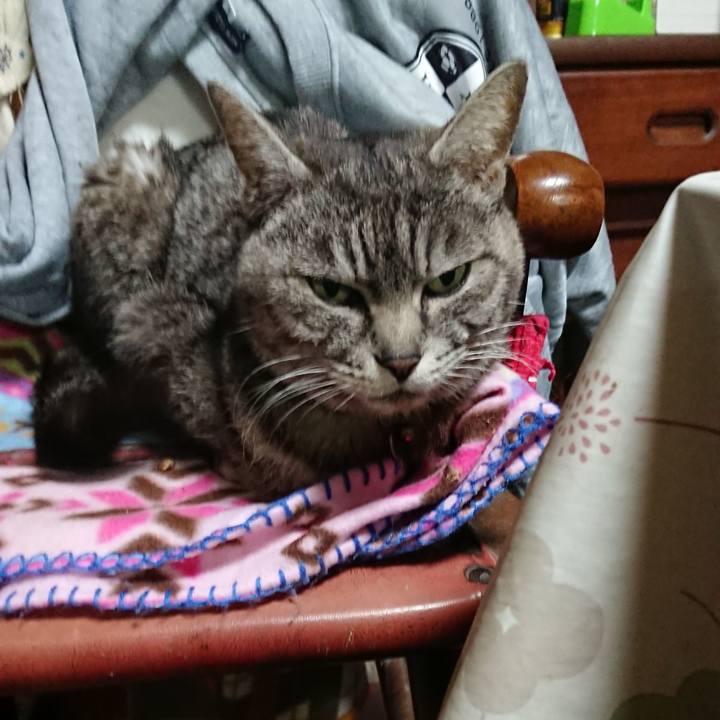 Ad2b0b2d eb29 4f97 9438 e68fcdd10e2a 1555069719204