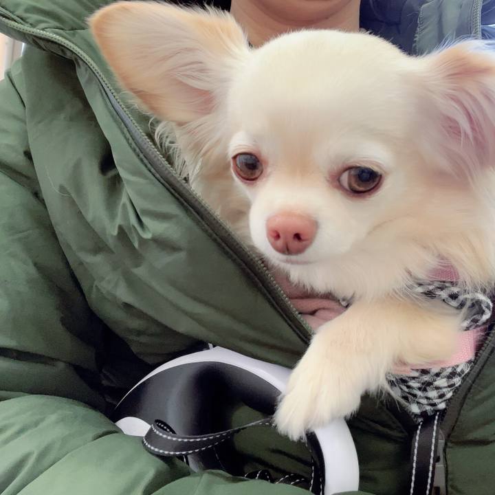 Ad2b0e20 dfe2 4cf0 8bf2 dee258da3daf 1709361249705