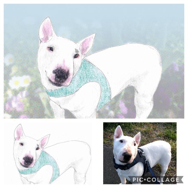 Ad2b0ec5 e681 4165 83f6 442397d86595 1585141984048