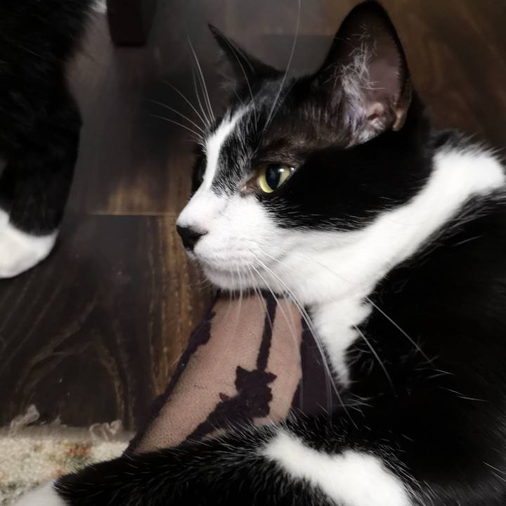 Ad2b85fe 0536 43e9 835f ad67354044b7 1570552147751