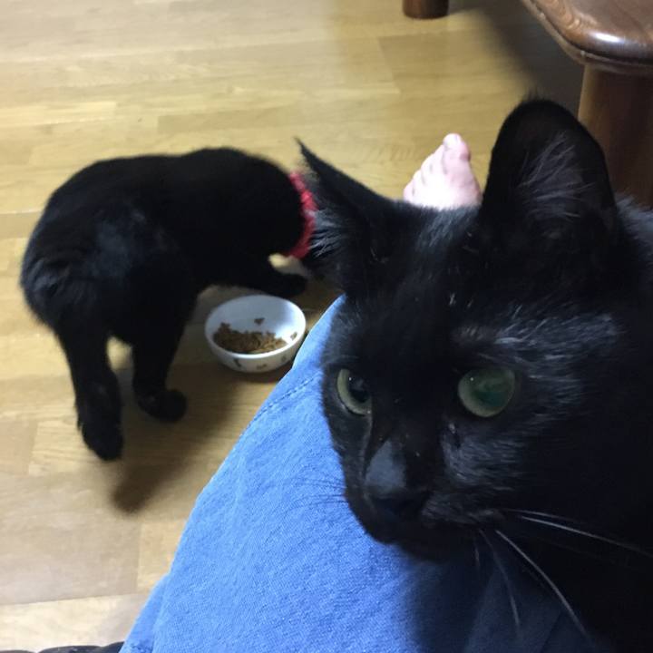 Ad2b9766 cd71 47f6 9b13 00940a8d24c3 1537524393726