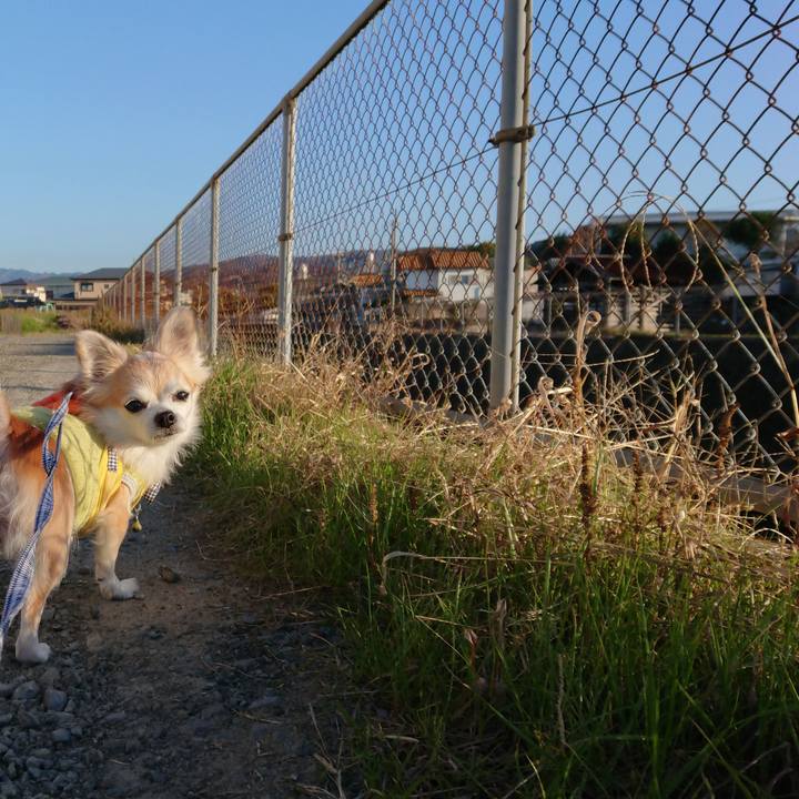 Ad2b9795 2b91 4e66 802a 261fe8cb00ee 1512307922715