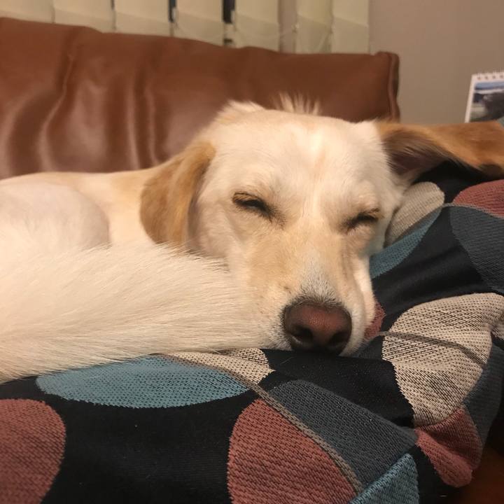 Ad2beca9 fcfe 4a06 8bfe d82f65262cda 1536592472625