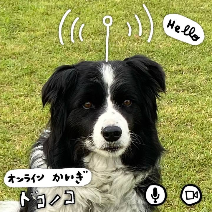 Ad2bed7b 00c3 4fd6 a50e 071bdf7a47ec 1590794590658