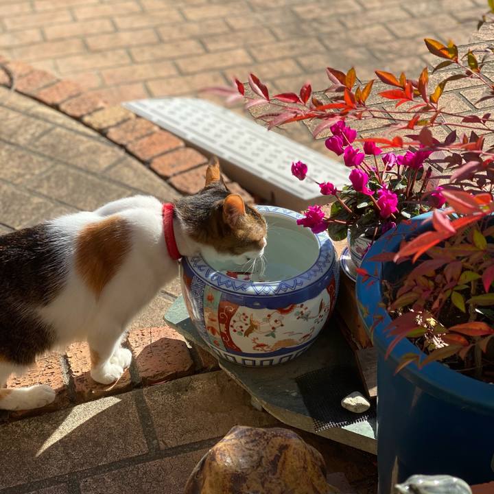 Ad2c00cf 1154 43f1 ad39 94de4f02ac1a 1638082198093