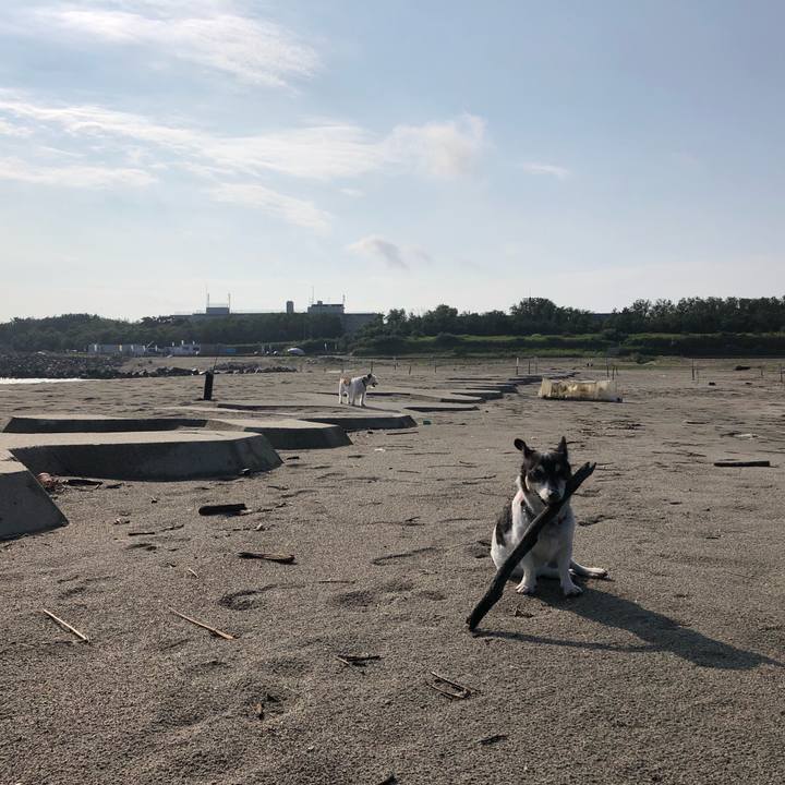 Ad2c076e 276c 40ed 89eb b644109f02ce 1566691212139