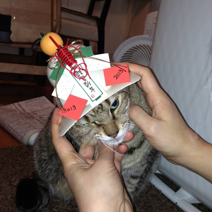 Ad2c2971 452f 4f1f bd2c 314590bdaf49 1593579155070