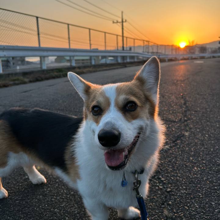 Ad2c3b34 030d 46ed 8314 a9d61c427e9a 1771674565017