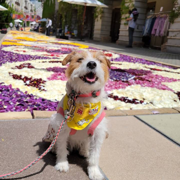 Ad2c59bb dfae 4a3c b34e c11f156ee57e 1682736561019