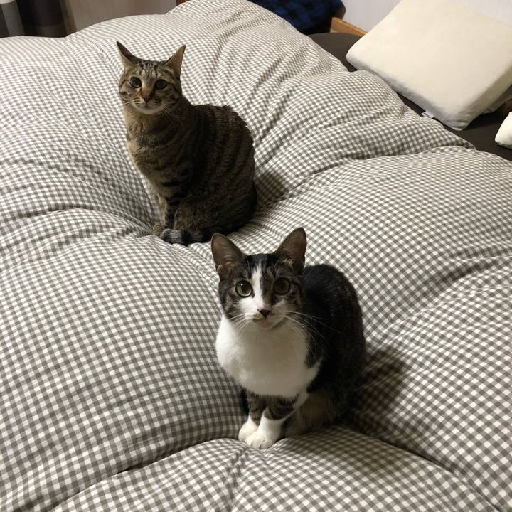 Ad2c9ea0 ad07 4fc5 b7a2 45f44602b9ff 1518090998231