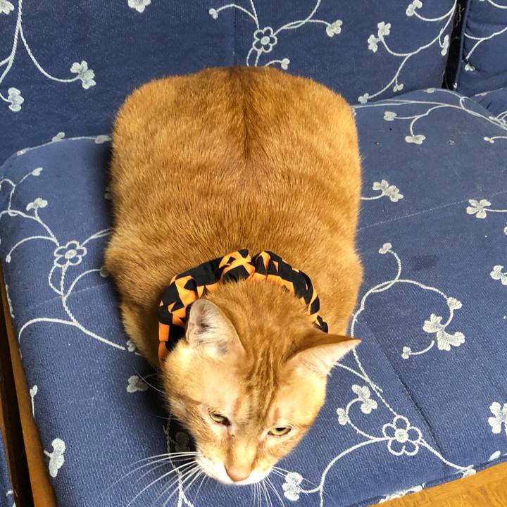 Ad2ca651 fd3f 4196 aa08 c6c415984ac0 1571402688895