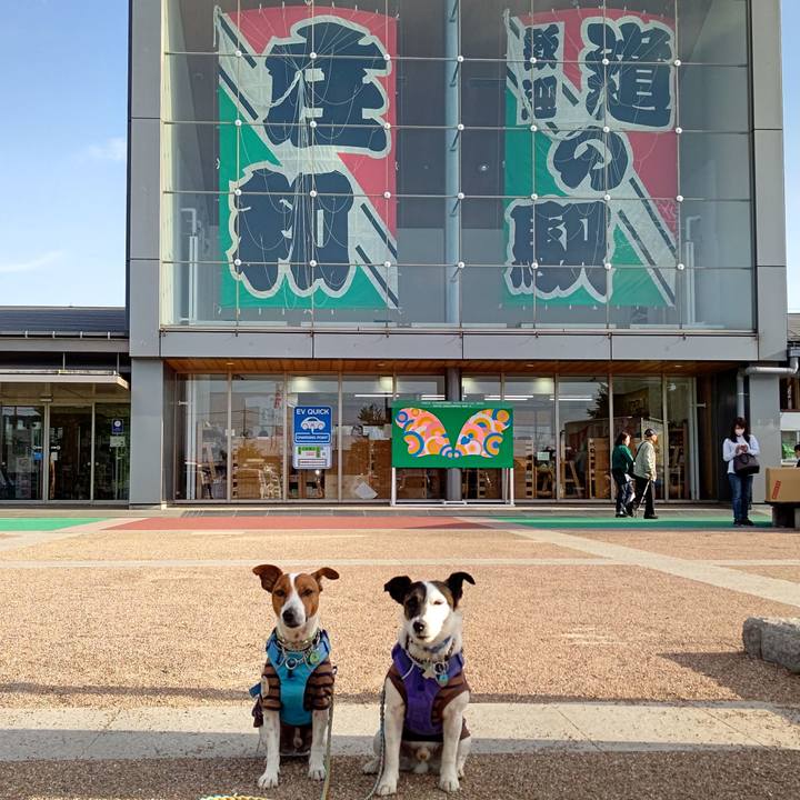 Ad2ceb63 c97c 4bfb a754 2d364a761273 1682236292943