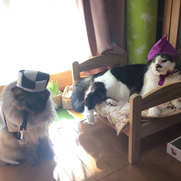 Ad2d0cb2 37f1 490c 8830 4a0fcb8be088 1510413888803