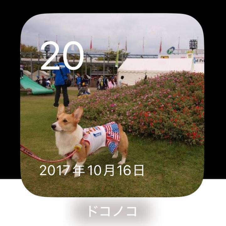 Ad2d298f 01a9 492f bc56 697feb2efb84 1760922468942