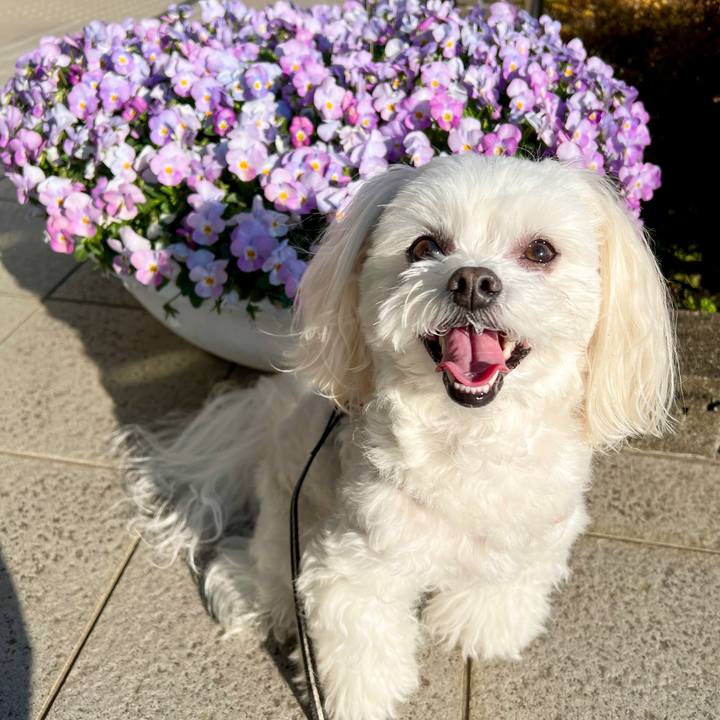 Ad2d2e6e efd2 4f94 8201 de4f47abc762 1679232716985