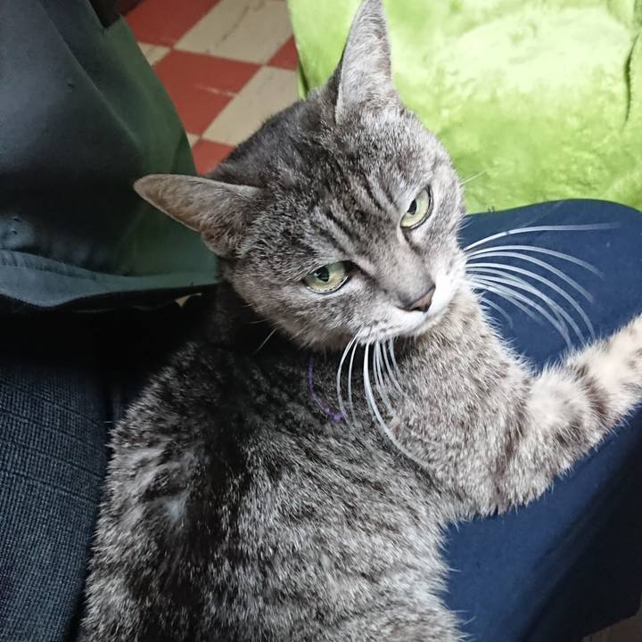 Ad2d52eb e9be 4342 b815 87d4fa11dc66 1582753587035