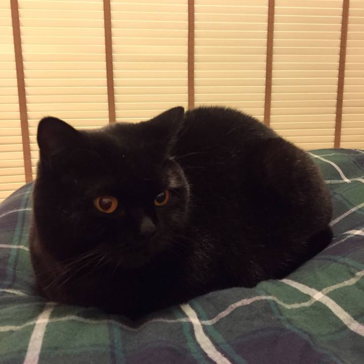 Ad2d7f02 2501 4909 9bb8 6668b38228c4 1573566238736