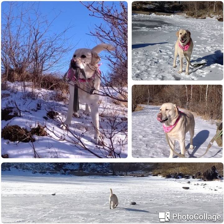 Ad2daedc 080a 48dc 9961 876445413107 1609764302302