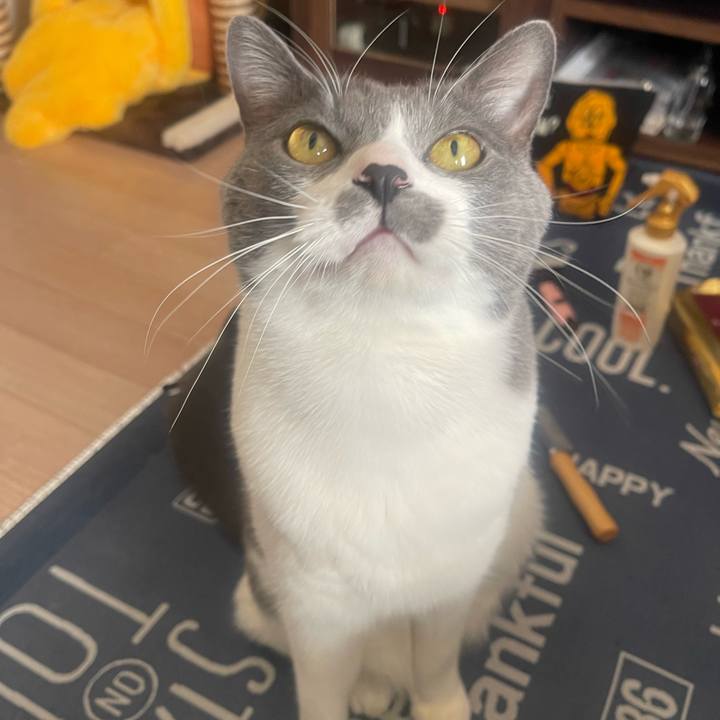 Ad2df5ca 1dfa 4944 949a 4ed7f7e41365 1704594864223