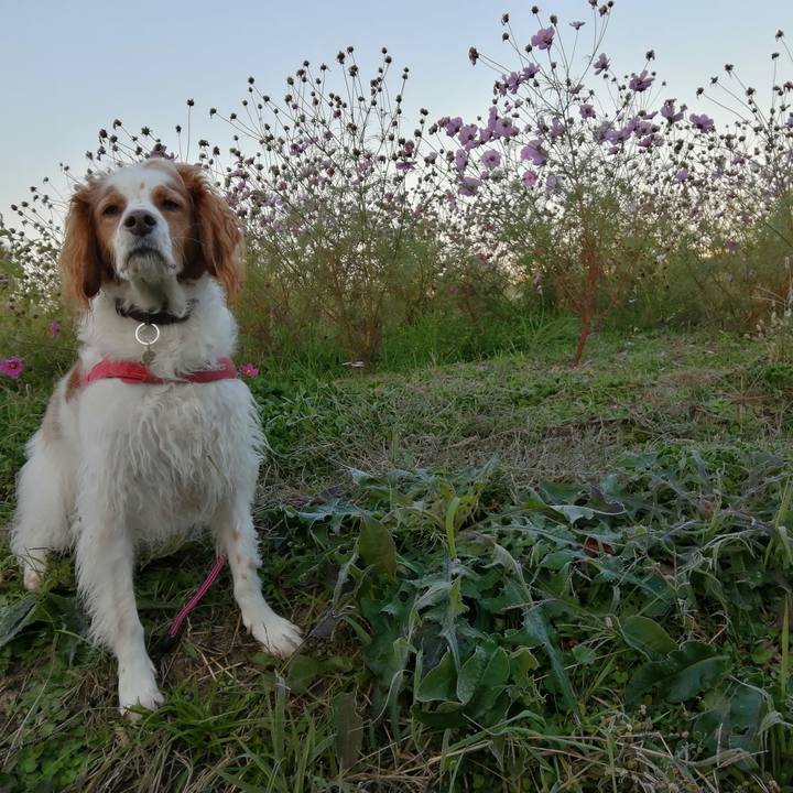 Ad2dfa04 693b 465e 9a01 12caee816b0a 1607134269137