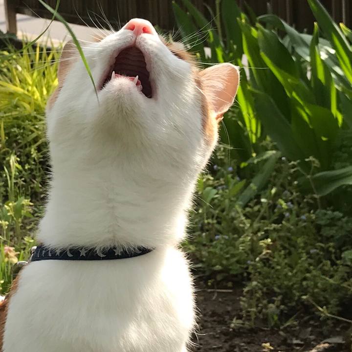 Ad2e235a 6ec8 48fe b43c e4c9caf50357 1526381980426