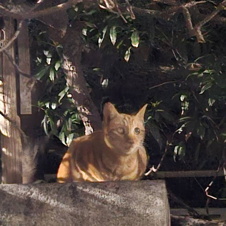 Ad2e2430 6233 4ced bfe3 bfa8bd98173d 1743304581772