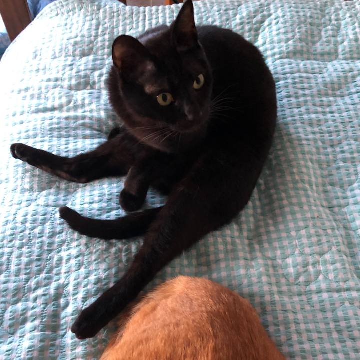 Ad2e347c 1242 4323 87ea 7a5e1e38bce9 1686995657291