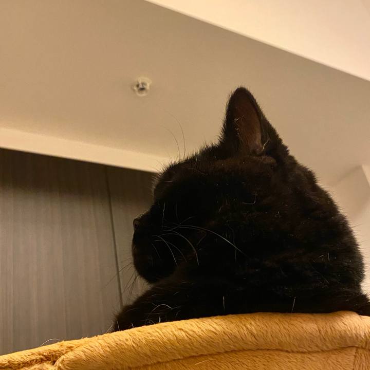 Ad2e56cc 404a 422d a603 f21900172368 1731504021701