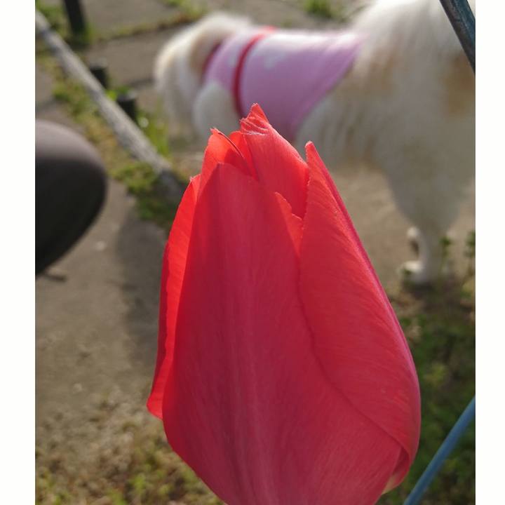 Ad2e58b0 1d60 45da 8c8b c5db9dc792c7 1523924571164