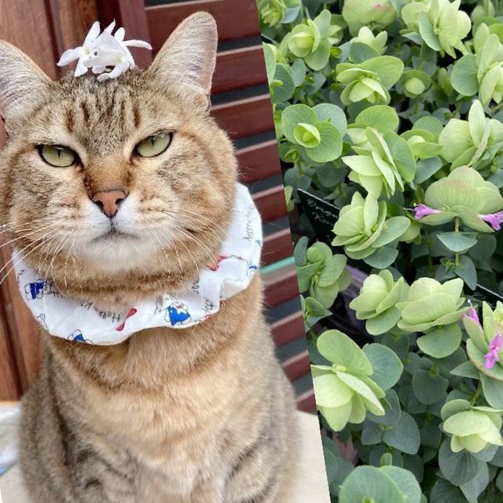 Ad2e6820 0a35 4d9e bd4a 8629cf9fb66b 1719387691165