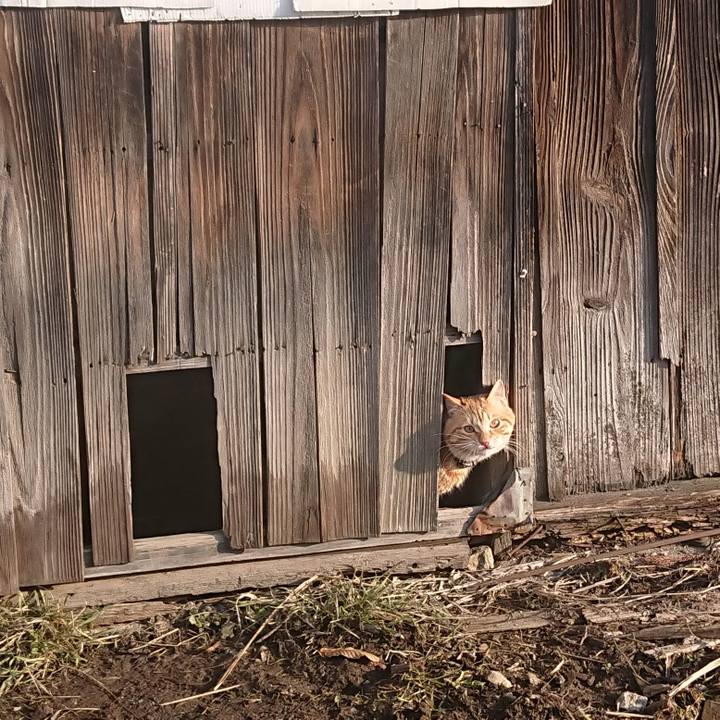 Ad2e6d3f aa30 467b aad8 6c5663964819 1646873002904