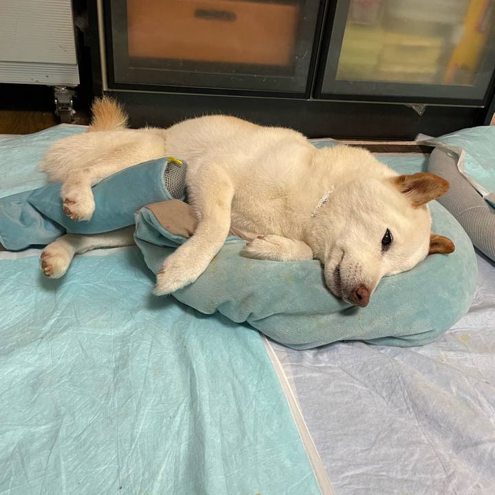 Ad2e87c7 ea2b 4ac9 97b6 8ba76461cb4a 1651158658807