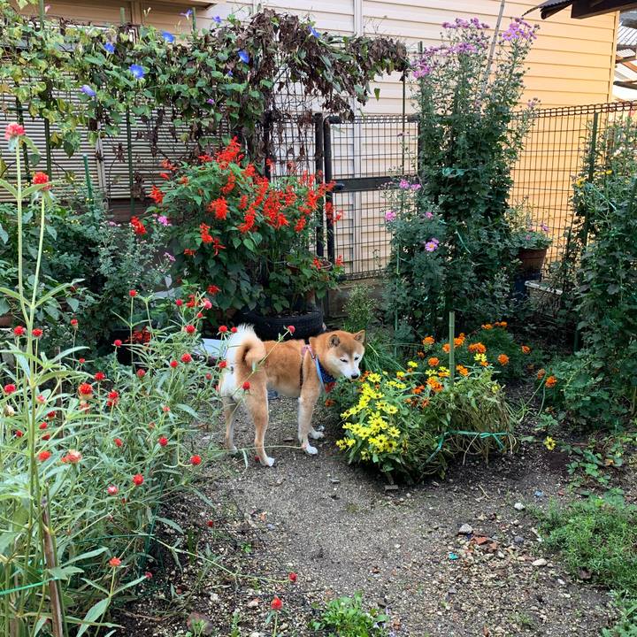 Ad2e889a 47d6 4051 ab27 5c57d2144a13 1572697484720