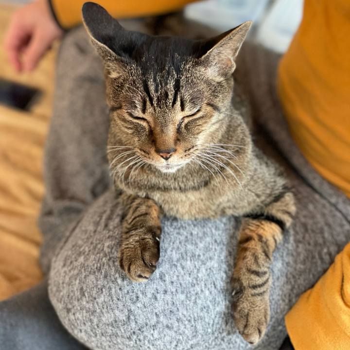 Ad2eada2 1f01 45b3 8d1e eedb4426a5e6 1612748653341