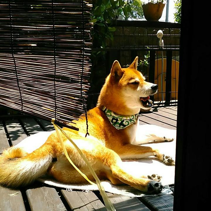 Ad2eb066 dcc5 4199 8a8f e82513bdda12 1558927271947