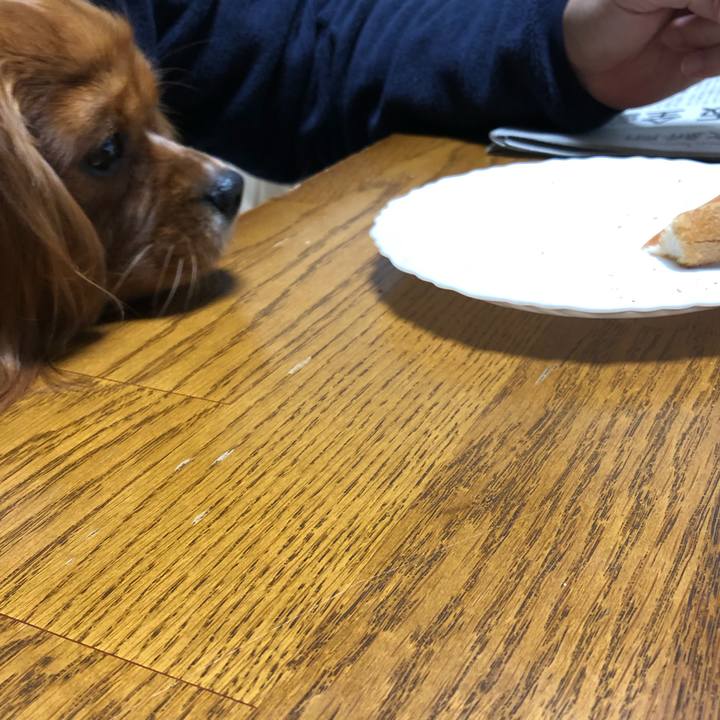 Ad2ec061 c743 42d9 a9fb fb47b91f9adf 1548543566546