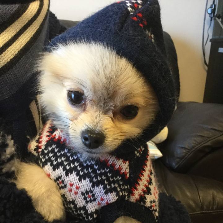 Ad2ed364 7a10 42f7 a9ca 4ae3f85a43db 1549960603633