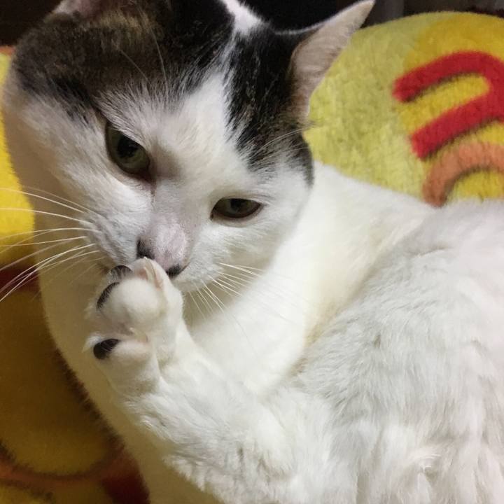 Ad2ef99f 64ed 4744 a561 062253582b48 1521374843988