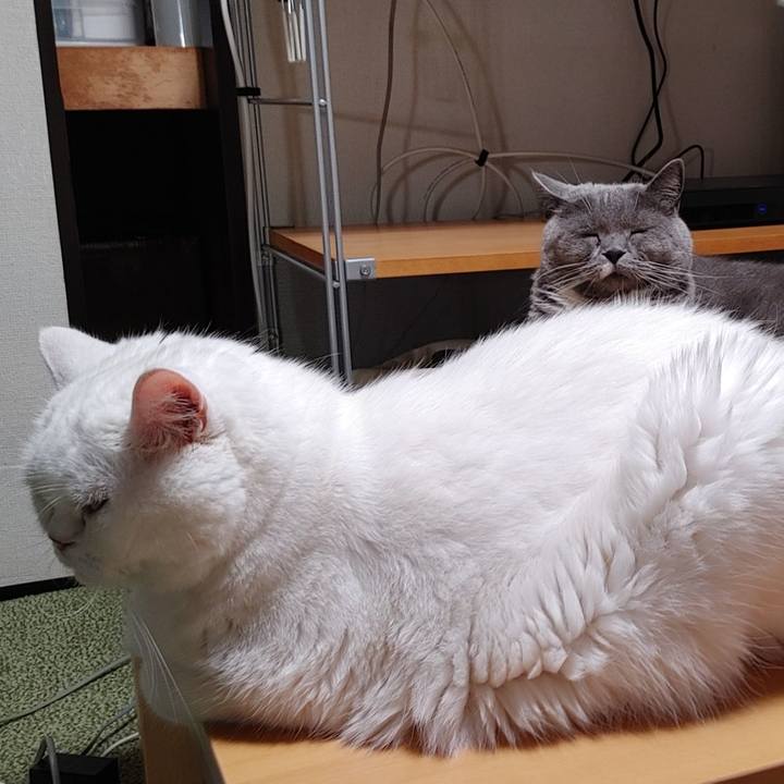 Ad2f2ffa dcaf 4322 be29 d79dab94d16e 1691767612433