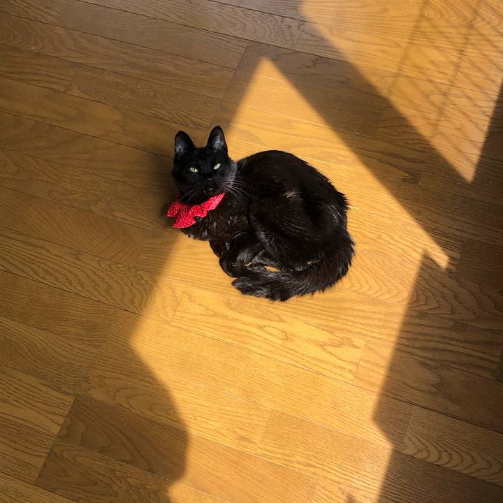 Ad2f553b c25c 4e55 b666 3a72bf08f0e9 1557104253431