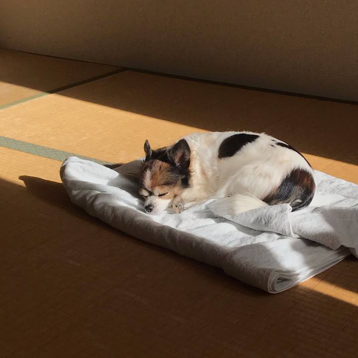 Ad2fe026 74c3 4a84 8edc b816d04c0483 1734277884701