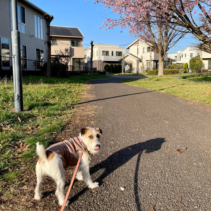 Ad2ff649 6771 4a37 881e c1aab49a38e4 1678798339249