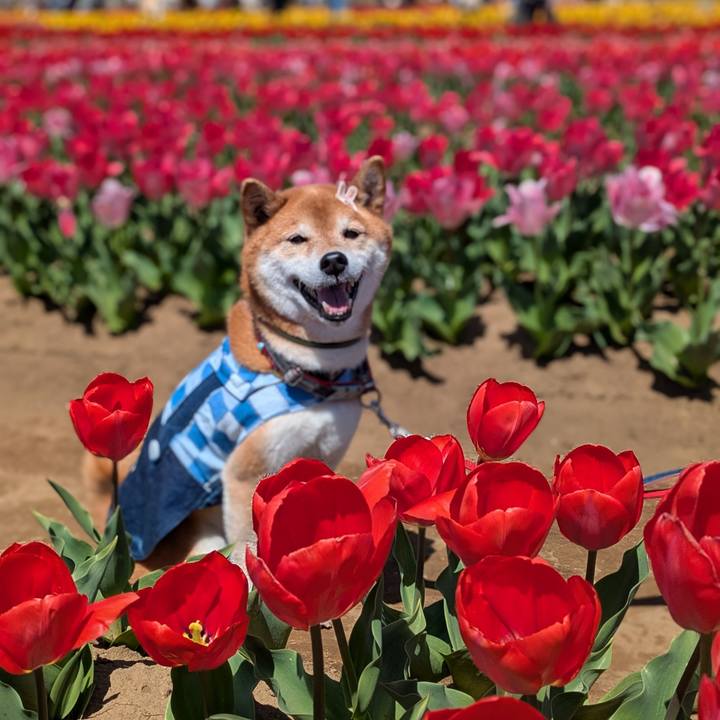 Ad3044eb 975c 48e6 8e12 1b6188771024 1744198625400