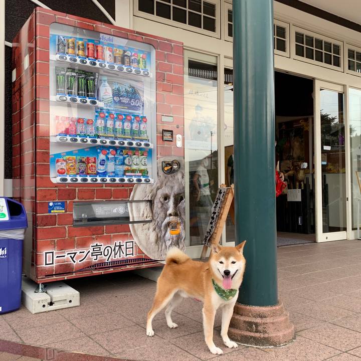 Ad3047a4 3c2a 4bd7 b4b6 5a8c9130ce63 1599380470507