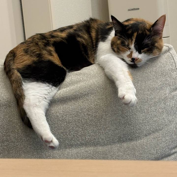 Ad305ca9 9456 4910 b5c5 68658f164e83 1773976893587