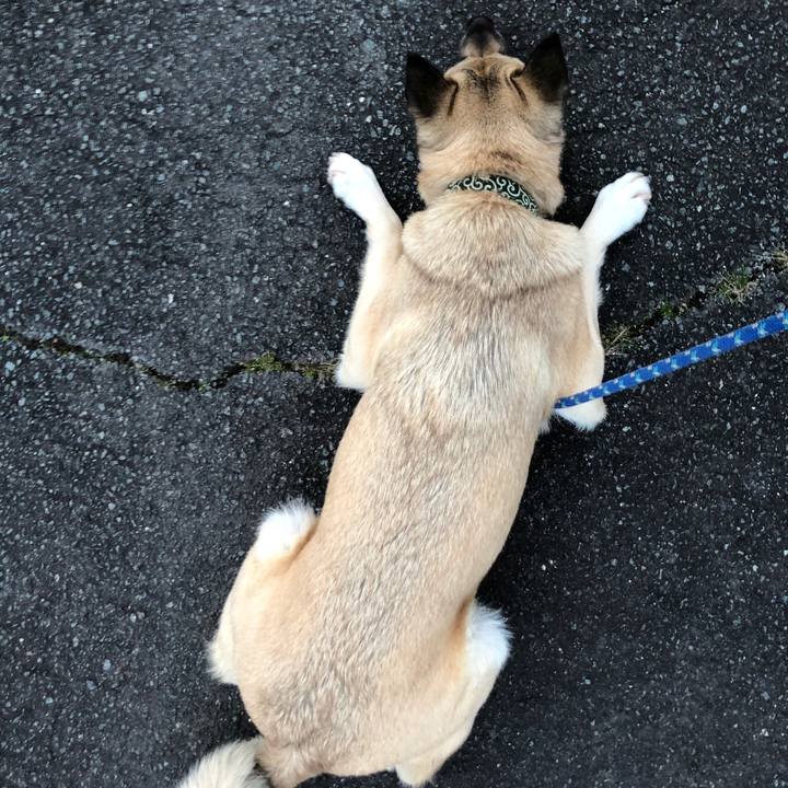 Ad30c507 3a65 4c3b b8de b78b2ebc9760 1584099822166