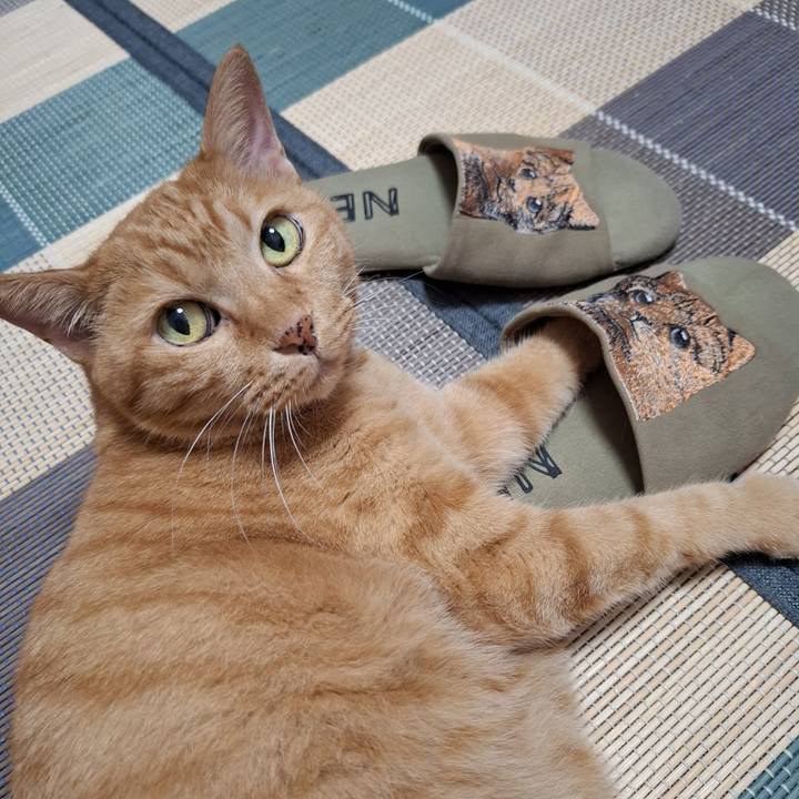 Ad30d3a1 cd37 4e30 ae83 c51e84e42b3b 1726536401269